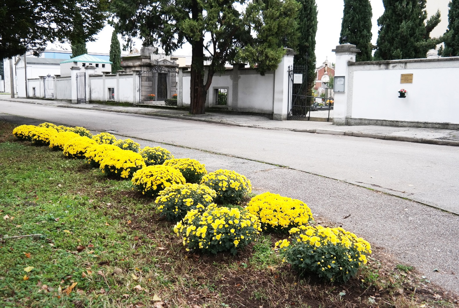 Cimitero, Al Via Un "Giardino Delle Rimembranze" E Un "Parco Della ...